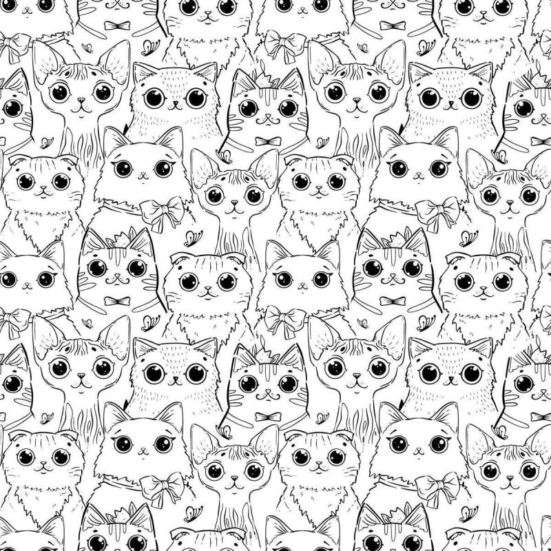 Papel de Parede Adesivo Gatinhos Preto e Branco N04052 - Papel na Parede