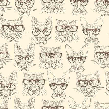 Papel de Parede Adesivo Gatos N3911 - Papel na Parede