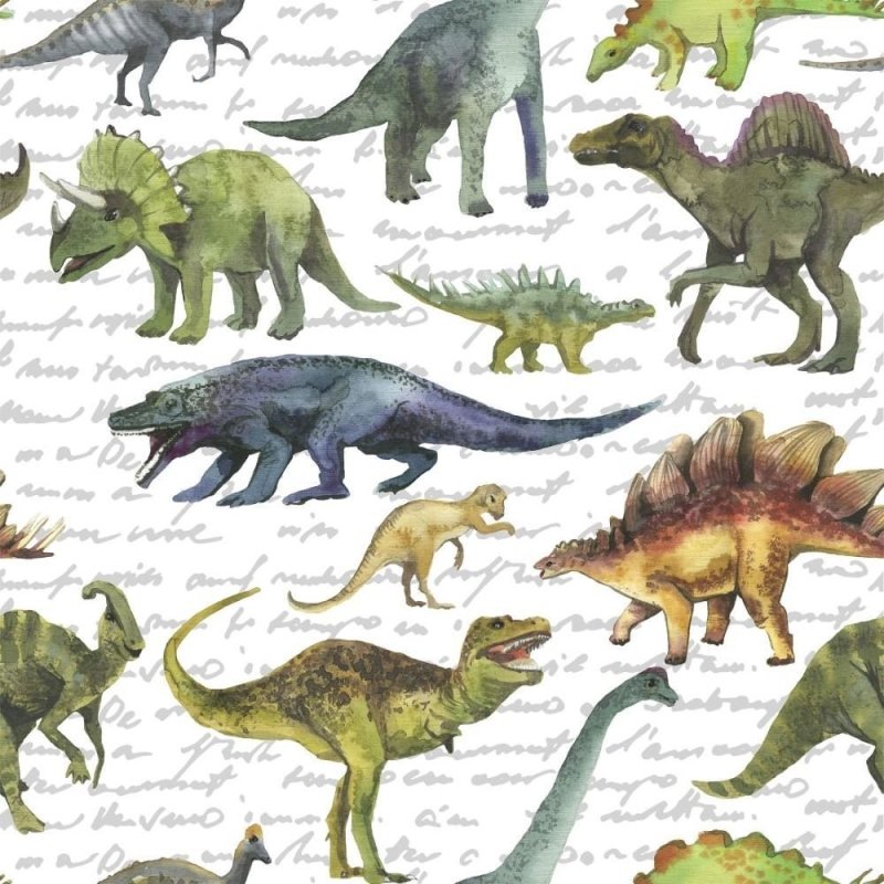 Papel de Parede Adesivo infantil Dinossauros N014085 - Papel na Parede