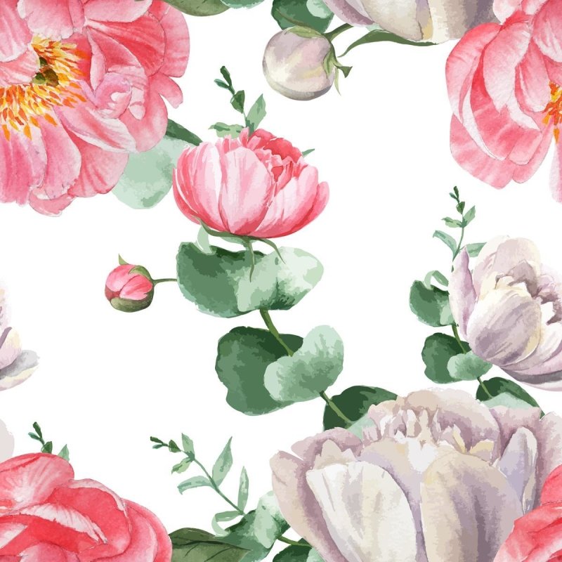 Papel de Parede Adesivo Lisianthus Rosa em Aquarela N09046 - Papel na Parede