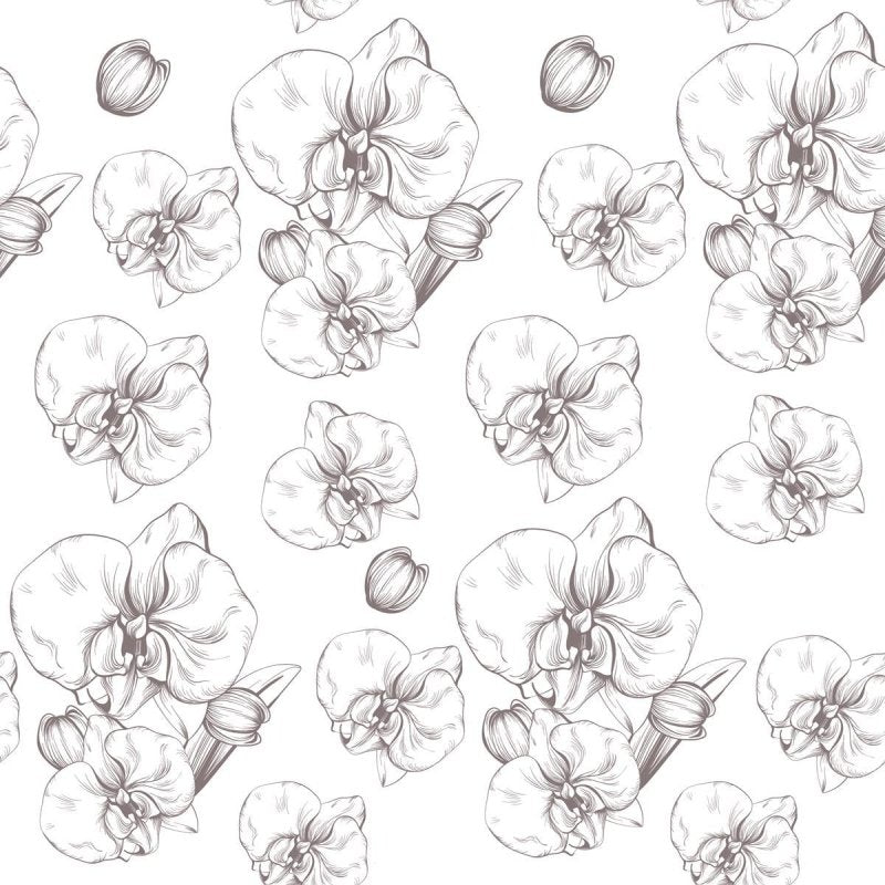 Papel de Parede Adesivo Orquídea Branco N04068 - Papel na Parede