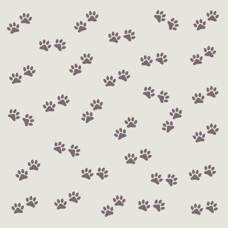Papel de Parede Adesivo Patinhas Marrom N06194 - Papel na Parede