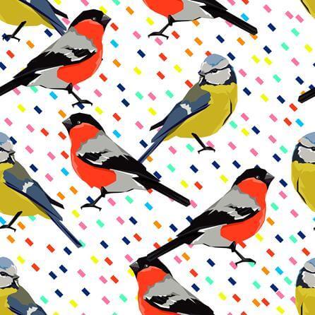 Papel de Parede Adesivo P‡ssaro Colorido Jovem 01214 - Papel na Parede
