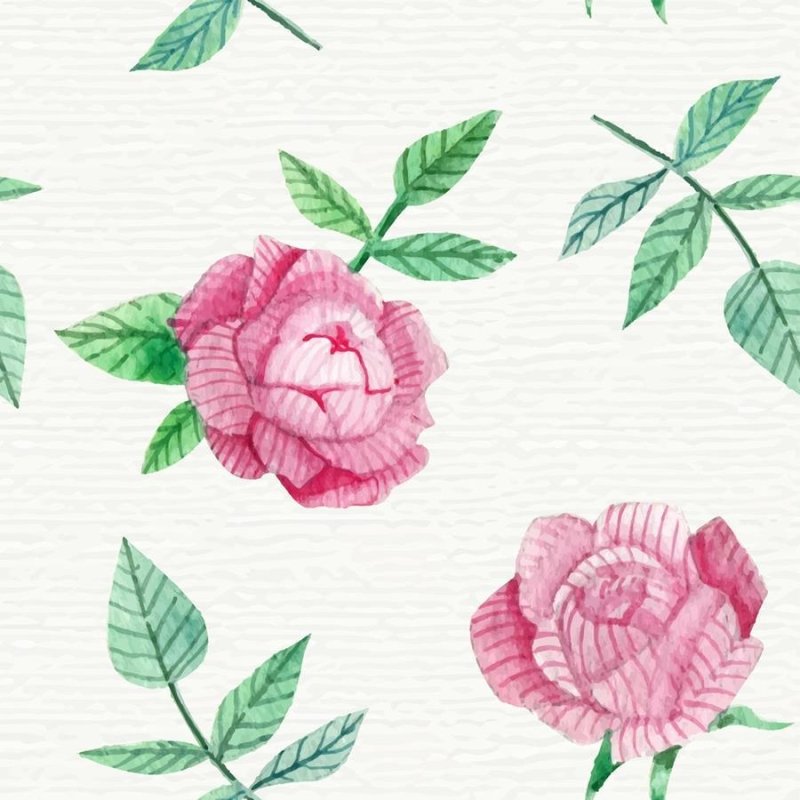 Papel de Parede Adesivo Rosas em Fundo Branco N06013 - Papel na Parede