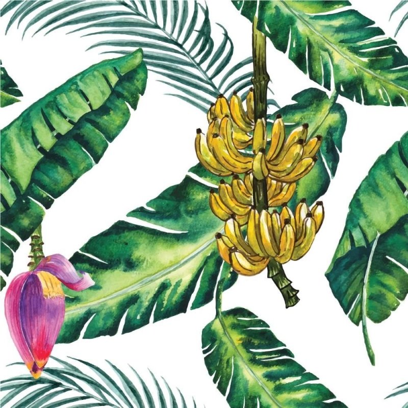 Papel de Parede Adesivo Tropical Bananeira N012059 - Papel na Parede