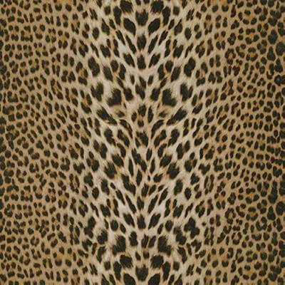 Papel de Parede Animal Print Onça Roberto Cavalli RC12017 - Papel na Parede