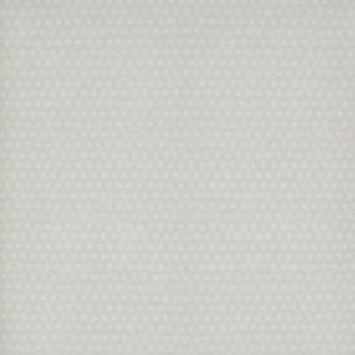 Papel de Parede Cinza Risky Business RB4281 - Papel na Parede