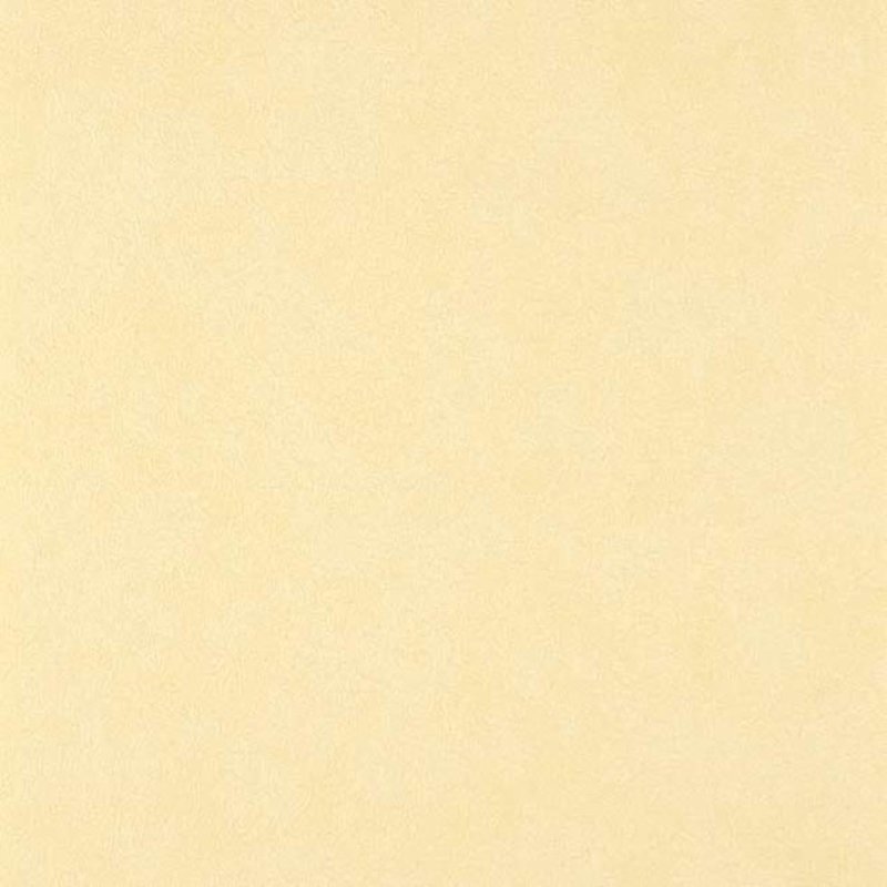 Papel de Parede Textura Amarelo Colours WW116-26 - Papel na Parede