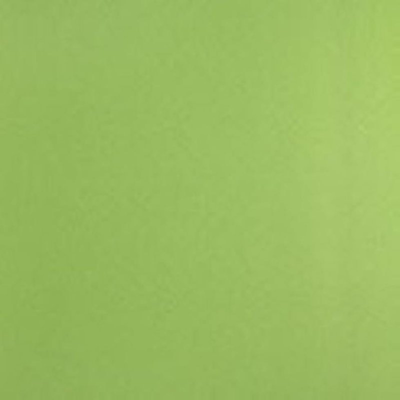 Papel de Parede Verde Tropical Texture 710507 - Papel na Parede
