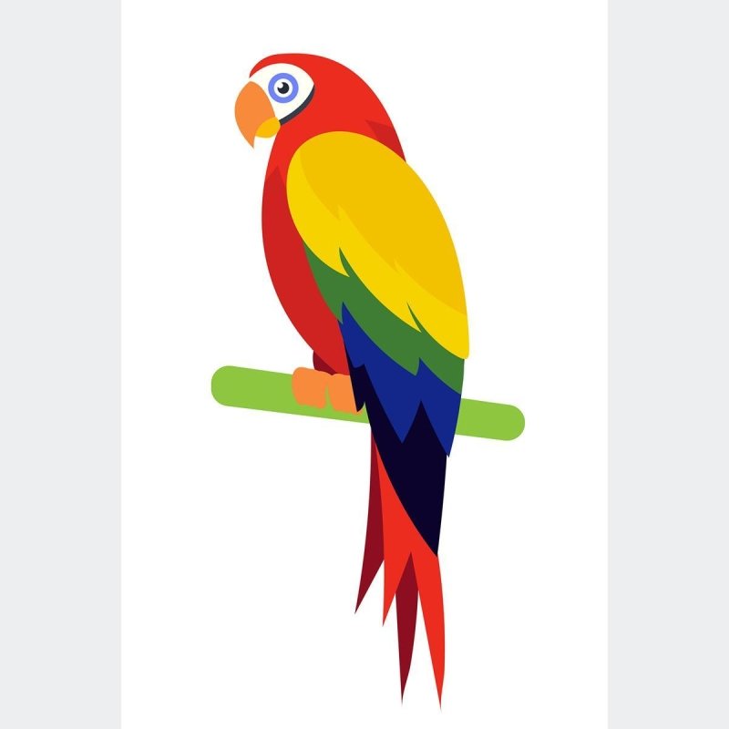 Poster Decorativo Aves Arara N010227 - Papel na Parede