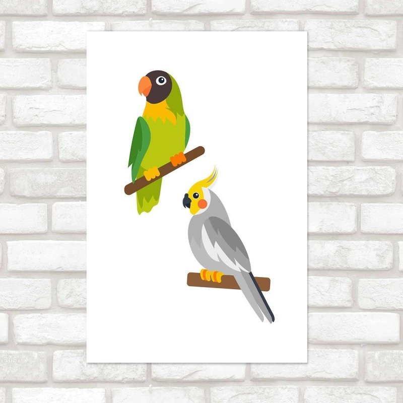 Poster Decorativo Aves Papagaio e Calopsita N010225 - Papel na Parede