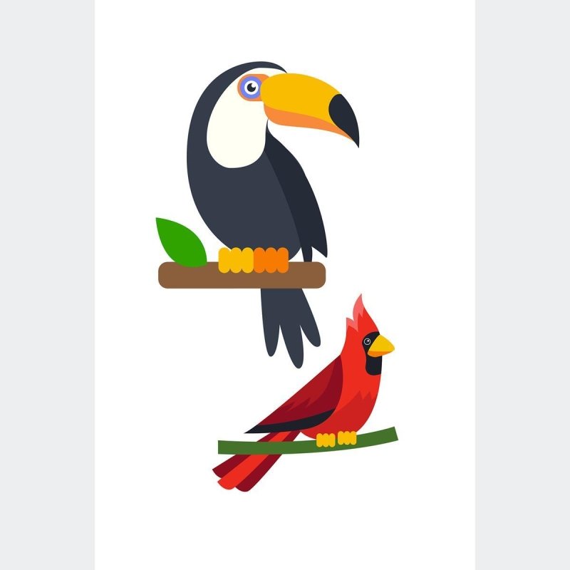 Poster Decorativo Aves Tucano e Pica-Pau N010226 - Papel na Parede