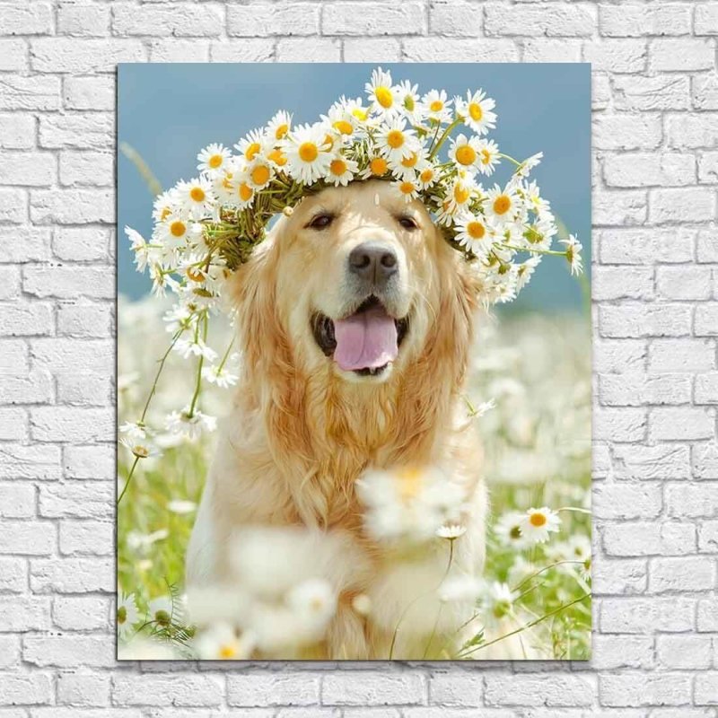 Poster Decorativo Cachorro 406226203 - Papel na Parede