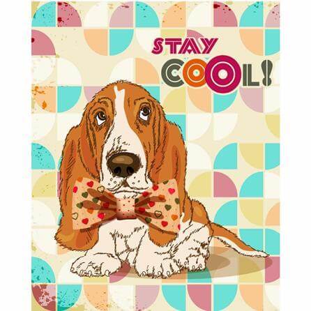 Poster Decorativo Cachorro Beagle 47122169 - Papel na Parede