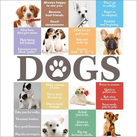 Poster Decorativo Dogs 2310 - Papel na Parede