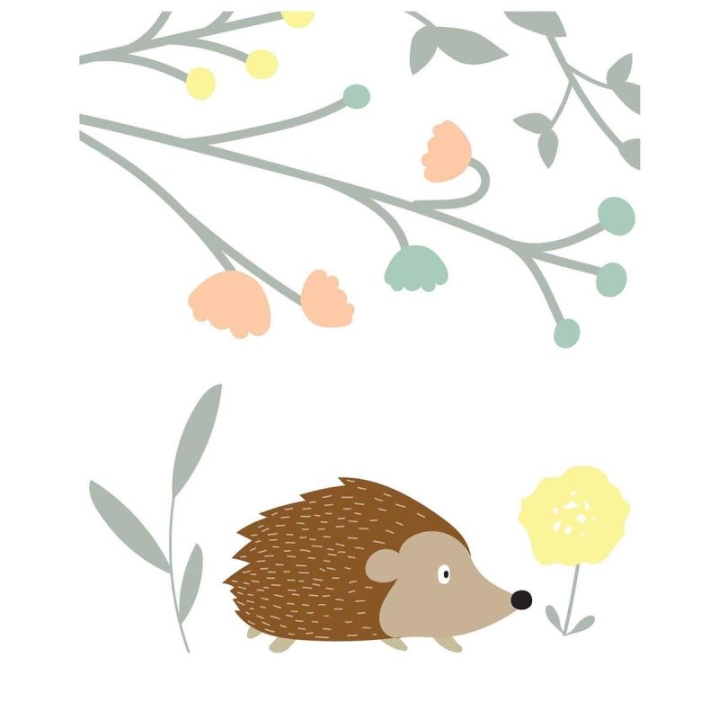 Poster Decorativo infantil porco-espinho PA0123 - Papel na Parede