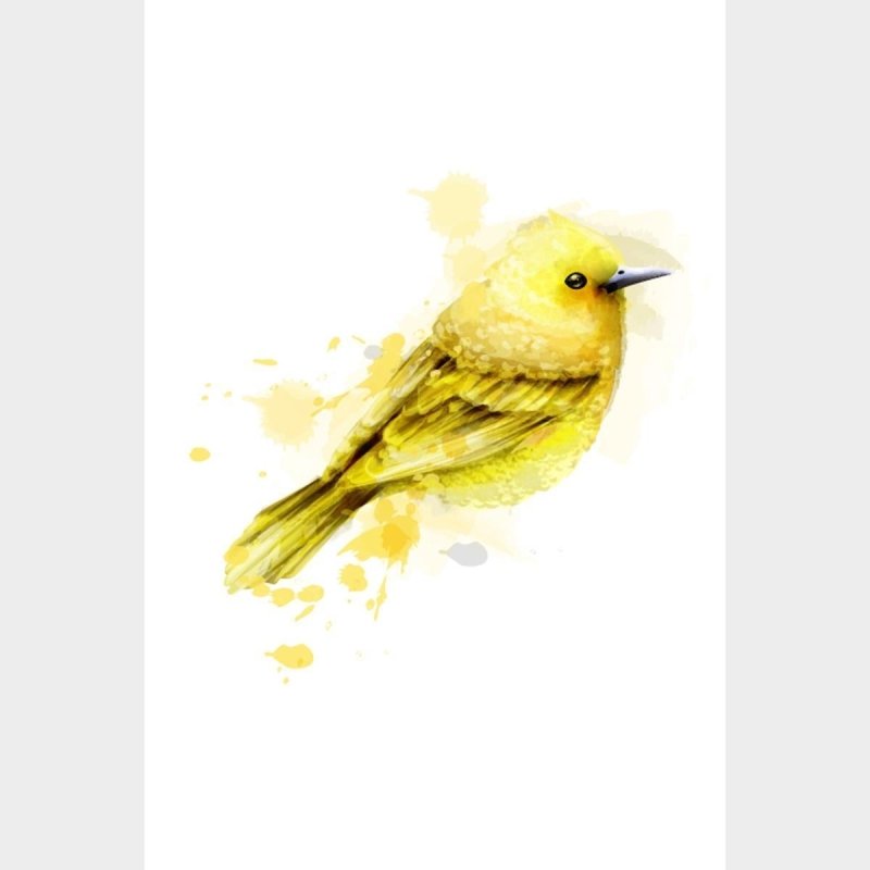 Poster Decorativo Pássaro Amarelo Aquarela N07237 - Papel na Parede