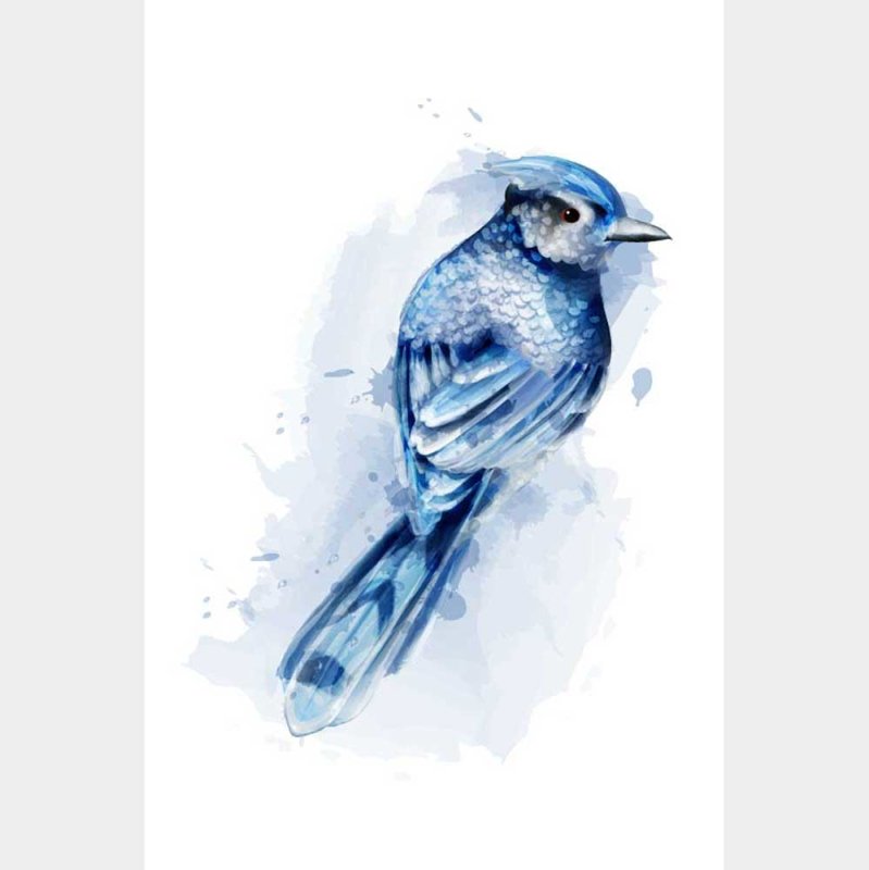 Poster Decorativo Pássaro Azul Aquarela N08017 - Papel na Parede