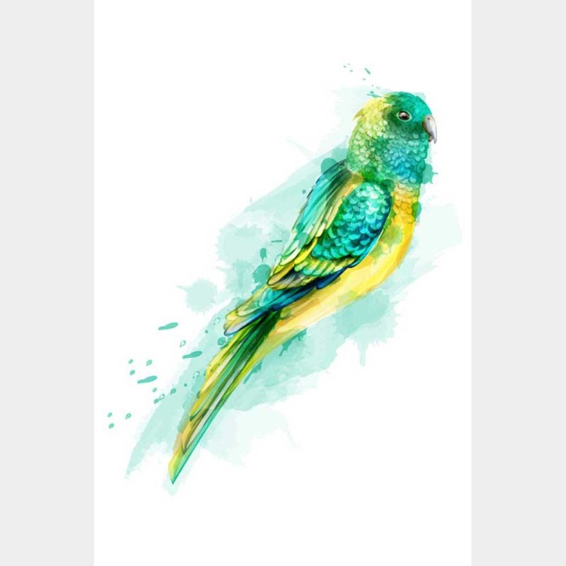 Poster Decorativo Pássaro Verde e Amarelo Aquarela N08018 - Papel na Parede